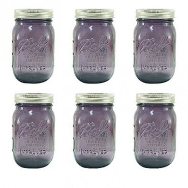 FRASCOS PARA ENVASE CON BOCA REGULAR MORADO DE 473 ML 6 PK BALL 