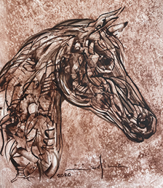 CABALLO 10, GUSTAVO MEDINA JARAMILLO