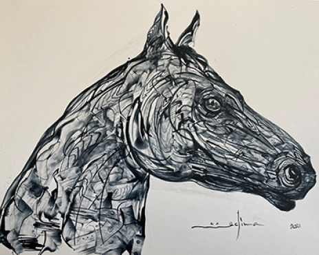 CABALLO 9, GUSTAVO MEDINA JARAMILLO