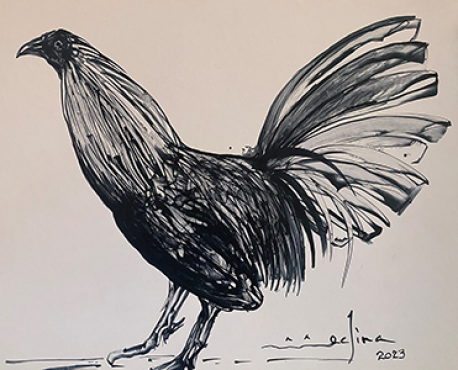 GALLO 5A, GUSTAVO MEDINA JARAMILLO