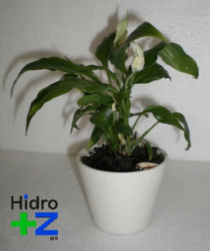 Macetas de Cerámica