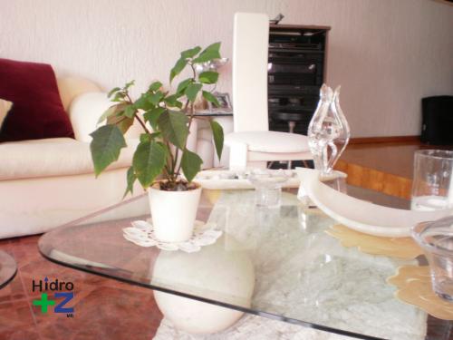 Maceta de Ceramica mediana