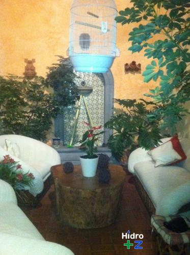 Maceta de cerámica redonda de 25 cms