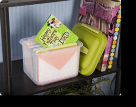 CAJA PEQUEÑA DE PLASTICO, SHOW OFF, STERILITE