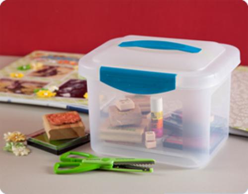 CAJA PEQUEÑA DE PLASTICO, SHOW OFF, STERILITE