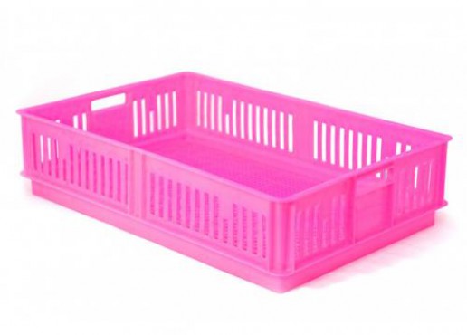 CAJA PARA POLLITOS SIN DIVISIÓN CALADA, EUROPLAST