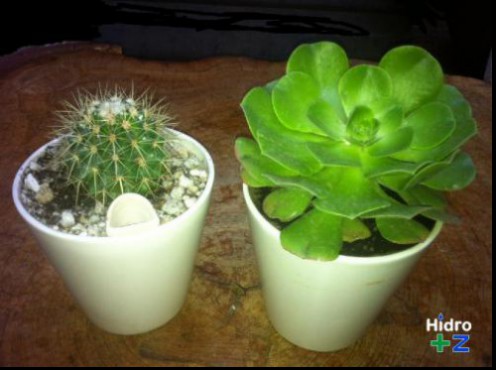 Macetas de Cerámica