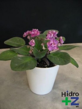 Maceta de Ceramica mediana